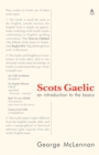 Image for Scots Gaelic : an introduction to the basics