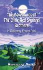 Image for The Adventures of The Little Red Squirrel Brothers