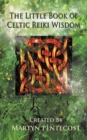 Image for The Little Book of Celtic Reiki Wisdom
