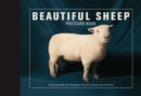 Image for Beautiful Sheep Postcard Book : 30 Postcards of Champion Breeds to Keep or to Send