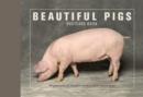 Image for Beautiful Pigs Postcard Books : 30 Postcards of Champion Breeds to Keep or Send