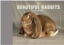 Image for Beautiful Rabbits Journal