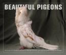 Image for BEAUTIFUL PIGEONS