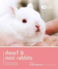 Image for Dwarf &amp; mini rabbits  : understanding and caring for your pet