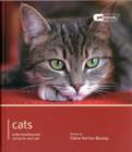 Image for Cats  : understanding and caring for your pet