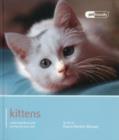 Image for Kitten - Pet Friendly