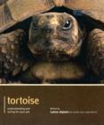 Image for Tortoise - Pet Expert