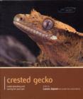 Image for Crested Gecko - Pet Expert : Understanding and Caring for Your Pet