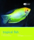 Image for Tropical Fish - Pet Friendly