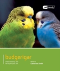 Image for Budgeriegars - Pet Friendly