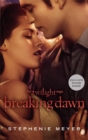 Image for Breaking Dawn Film Tie in