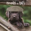 Image for Hounds in Hats 2016