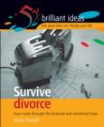 Image for Survive divorce: your route through the financial and emotional maze