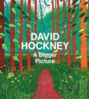 Image for DAVID HOCKNEY A BIGGER PICTURE
