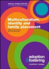 Image for Multiculturalism, Identity and Family Placement