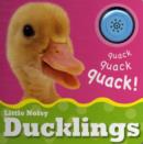 Image for Little noisy ducklings