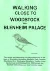 Image for Walking Close to Woodstock and Blenheim Palace