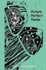 Image for Picture Perfect Poems