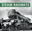 Image for Steam Railways