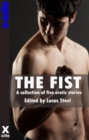 Image for The Fist: A collection of gay erotic stories