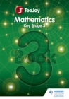 Image for Teejay mathematicsBook 3