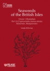 Image for Seaweeds of the British Isles : Rhodophyta: Cryptonemiales (Sensu Stricto) Palmariales, Rhodymeniales