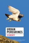 Image for Urban Peregrines