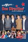 Image for We Love You One Direction Annual 2013