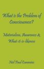 Image for What is the Problem of Consciousness? : Materialism, Awareness &amp; What-it-is-likeness