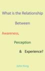 Image for What is the Relationship Between Awareness, Perception &amp; Experience?