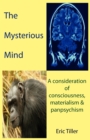 Image for The Mysterious Mind : A Consideration of Consciousness, Materialism &amp; Panpsychism