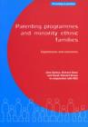 Image for Parenting programmes and minority ethnic families: experiences and outcomes