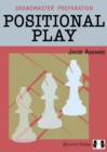 Image for Positional Play
