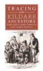 Image for A Guide to Tracing Your Kildare Ancestors