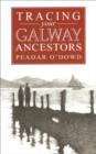 Image for A guide to tracing your Galway ancestors