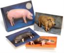 Image for Beautiful Pigs : 20 Notecards with 4 Different Portraits, Complete with Envelopes