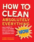 Image for How to Clean Absolutely Everything: From cashmere to carpets, and shower stalls to slipcovers, the complete, utterly comprehensive guide