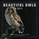 Image for Beautiful Owls 2013 : Portraits of the Most Arresting Breeds