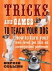 Image for Tricks and Games to Teach Your Dog