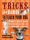 Image for Tricks and games to teach your dog