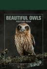 Image for Beautiful Owls Postcard Book : 30 Postcards of Stunning Birds to Keep or Send
