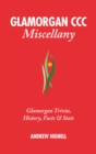 Image for Glamorgan CCC Miscellany : Glamorgan Trivia, History, Facts &amp; Stats
