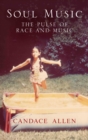 Image for Soul music: the pulse of race and music