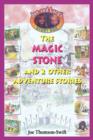 Image for The Magic Stone