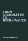 Image for From Microliths to Microwaves