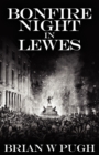 Image for Bonfire Night in Lewes