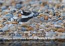 Image for A ring to the shingle  : images and poems from the Norfolk Coast