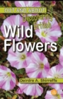 Image for Discovering British Wild Flowers