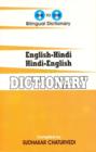 Image for English-Hindi Hindi-English dictionary