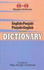Image for English-Punjabi &amp; Punjabi-English One-to-One Dictionary. Exam Suitable: Script &amp; Roman